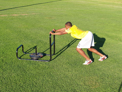 Fisher 36&quot; Push / Pull Sled