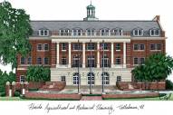 Florida A&M Rattlers Campus Images Lithograph
