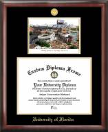 Florida Gators Gold Embossed Diploma Frame with Campus Images Lithograph