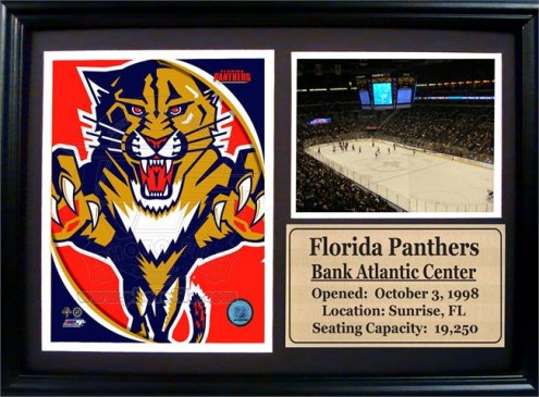 Florida Panthers 12&quot; x 18&quot; Photo Stat Frame