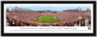 Florida State Seminoles Framed Stadium Print