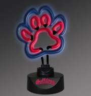 Fresno State Bulldogs Team Logo Neon Lamp