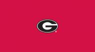 Georgia Bulldogs College Team Logo Billiard Cloth