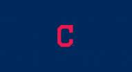 Cleveland Indians MLB Team Logo Billiard Cloth