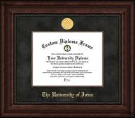 Iowa Hawkeyes Executive Diploma Frame