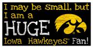 Iowa Hawkeyes Huge Fan 6" x 12" Sign