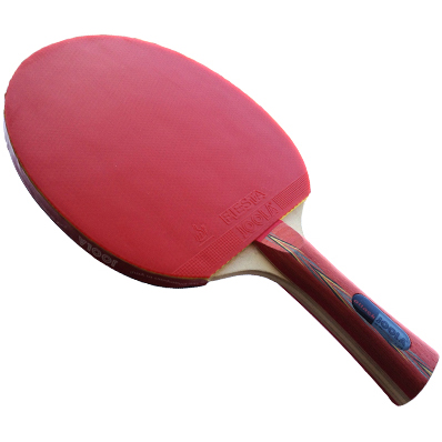 Joola Rosskopf Attack Ping Pong Paddle