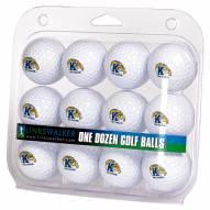 Kent State Golden Flashes Dozen Golf Balls