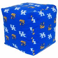 Kentucky Wildcats 18" x 18" Cube Cushion