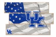 Kentucky Wildcats Flag 3 Plank Sign