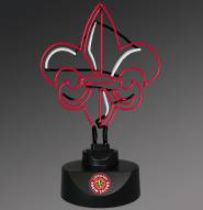 Louisiana Lafayette Ragin' Cajuns Team Logo Neon Lamp