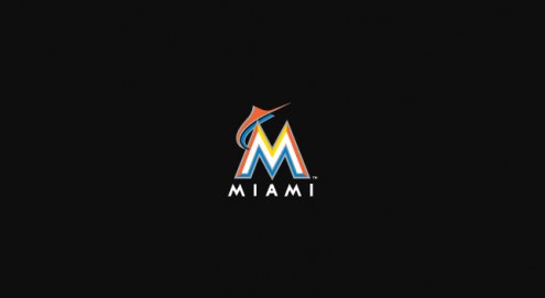 Florida Marlins MLB Team Logo Billiard Cloth