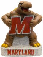 Maryland "Terp" Stone College Mascot