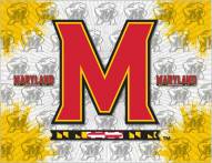 Maryland Terrapins Logo Canvas Print