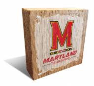 Maryland Terrapins Team Logo Block