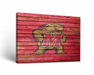 Maryland Terrapins Weathered Canvas Wall Art