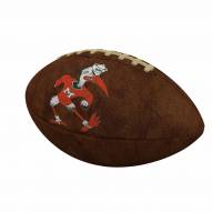 Miami Hurricanes Official Size Vintage Football