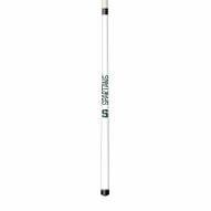 Michigan State Spartans Short Pool Cue