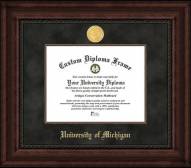Michigan Wolverines Executive Diploma Frame
