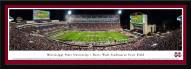 Mississippi State Bulldogs Framed Stadium Print