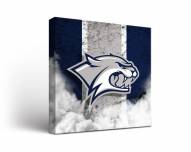 New Hampshire Wildcats Vintage Canvas Wall Art