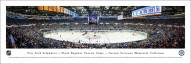 New York Islanders Nausau Panorama