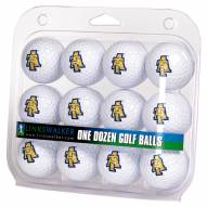 North Carolina A&T Aggies Dozen Golf Balls