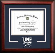 North Florida Ospreys Spirit Diploma Frame