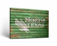North Texas Mean Green Weathered Canvas Wall Art