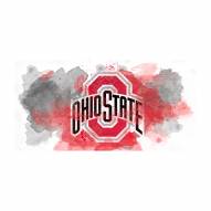 Ohio State Glass Wall Art Watercolor