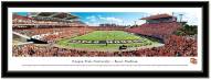Oregon State Beavers Framed Stadium Print