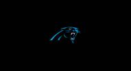 Carolina Panthers NFL Team Logo Billiard Cloth