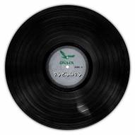 Philadelphia Eagles 12" Vinyl Circle