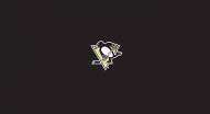 Pittsburgh Penguins NHL Team Logo Billiard Cloth