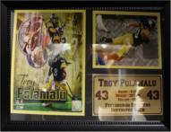 Pittsburgh Steelers 12" x 18" Troy Polamalu Photo Stat Frame
