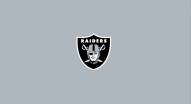 Las Vegas Raiders NFL Team Logo Billiard Cloth