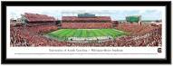 South Carolina Gamecocks Framed Stadium Print