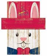 St. Louis Cardinals 19" x 16" Easter Bunny Head