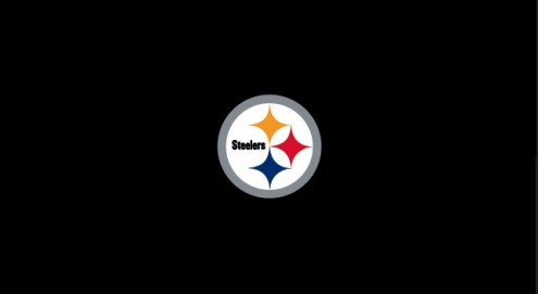 Pittsburgh Steelers NFL Team Logo Billiard Cloth