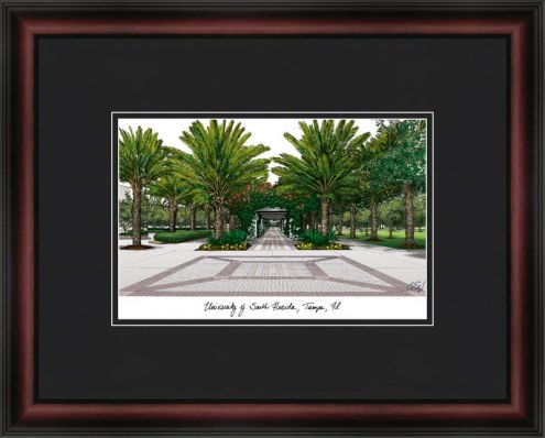 University of South Florida Academic Framed Lithograph