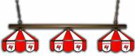 Tampa Bay Buccaneers 3 Shade Pool Table Light