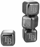 Tampa Bay Rays 6 Pack Stainless Steel Ice Cube Set