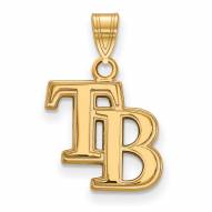 Tampa Bay Rays Logo Art Sterling Silver Gold Plated Small Pendant