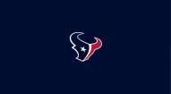 Houston Texans NFL Team Logo Billiard Cloth