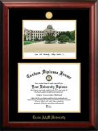 Texas A&M Aggies Gold Embossed Diploma Frame with Campus Images Lithograph