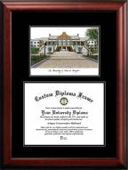 Texas-Arlington Mavericks Diplomate Diploma Frame