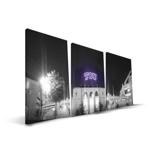 Texas Christian Horned Frogs 24&quot; x 48&quot; Stadium Canvas Print