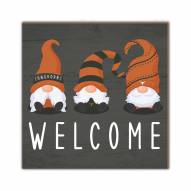 Texas Longhorns Welcome Gnomes 10" x 10" Sign