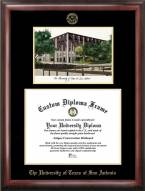 Texas San Antonio Roadrunners Gold Embossed Diploma Frame with Campus Images Lithograph
