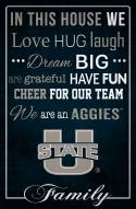 Utah State Aggies 17" x 26" In This House Sign